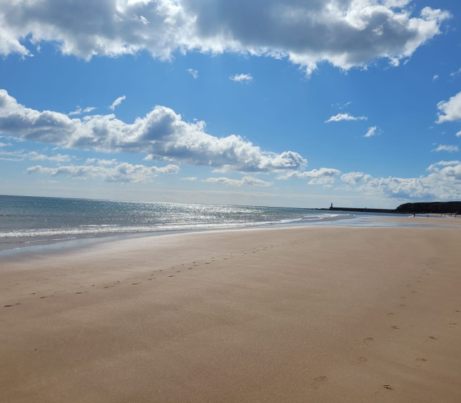 Our Beach Clean at Tynemouth Longsands