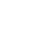 regulated information card icon